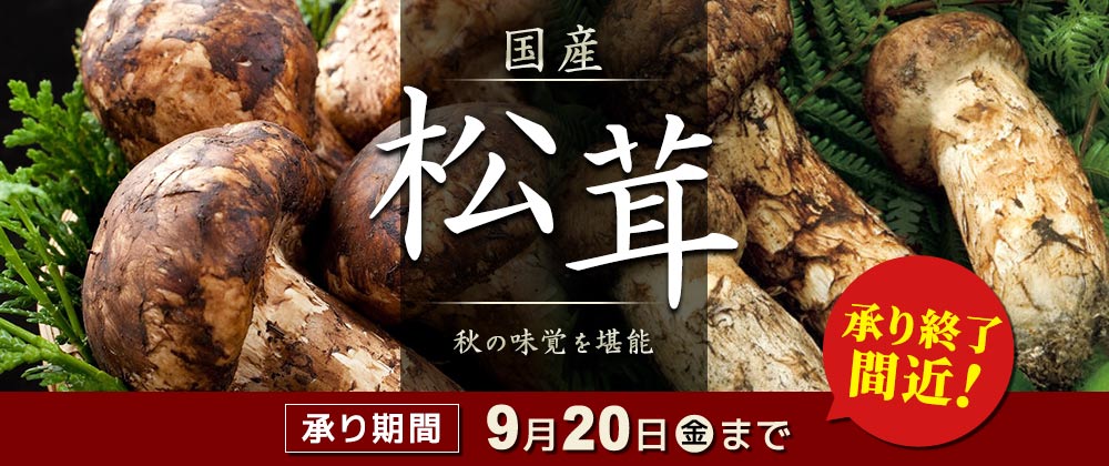 国産松茸｜秋の味覚を堪能 承り期間2024年9月20日（金）まで！承り終了間近！