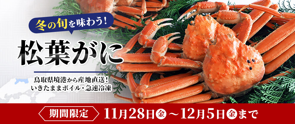 冬の旬を味わう！松葉がに｜境港から産地直送！いきたままボイル・急速冷凍