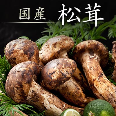 国産松茸　秋の味覚を堪能