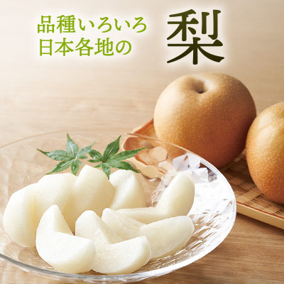 品種いろいろ日本各地の 梨