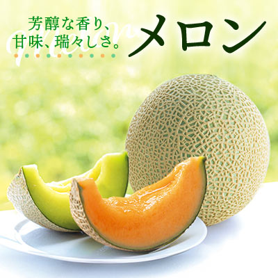 メロン 芳醇な香り、甘味、瑞々しさ。