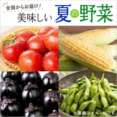 全国からお届け!夏の野菜
