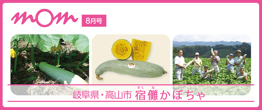 mom8月号 岐阜県・高山市 宿儺かぼちゃ