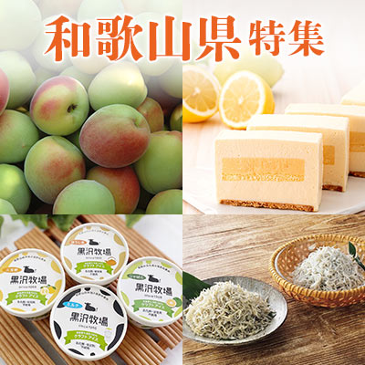 和歌山県特集