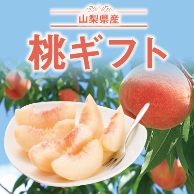 山梨県産　桃ギフト｜産地から甘くてみずみずしい旬の桃をお届けします。
