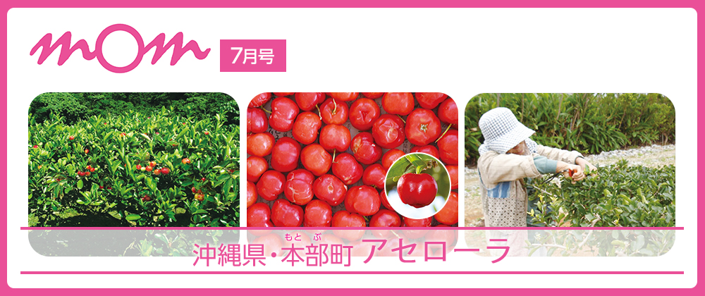 mom7月号 沖縄県・本部町 アセローラ