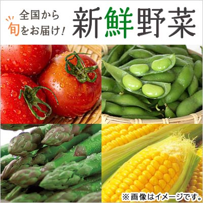 全国から旬をお届け！新鮮野菜