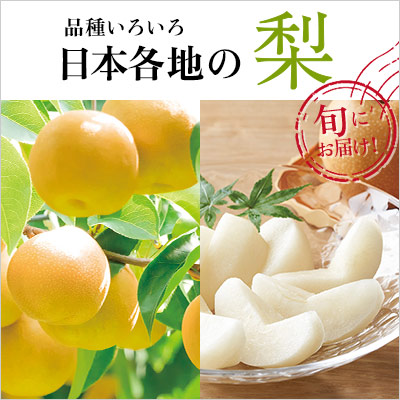 今が旬！品種いろいろ　日本各地の梨｜名産地から、みずみずしい自慢の梨をお届け。