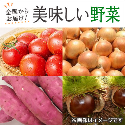 全国から旬をお届け！新鮮野菜