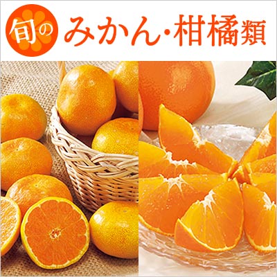旬のみかん・柑橘類