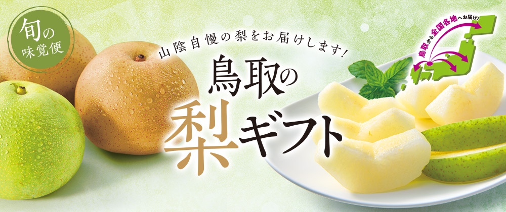 旬の味覚便 鳥取の梨ギフト 山陰自慢の梨をお届けします！