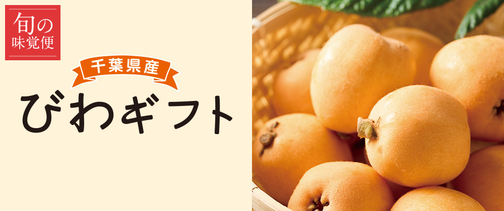 千葉県産びわギフト 旬の味覚便
