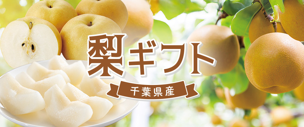 千葉県産梨ギフト