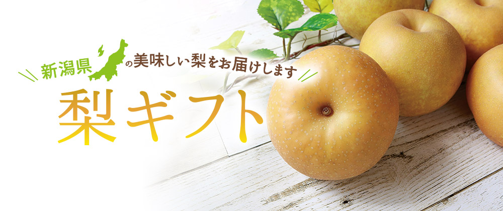 新潟 梨ギフト
