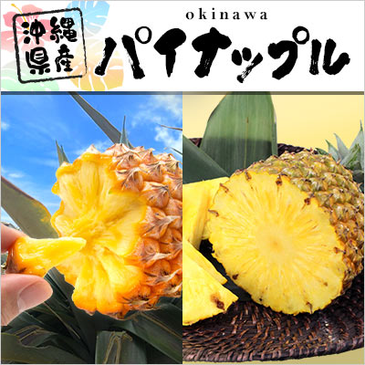 沖縄県産パイナップル