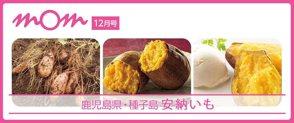 mom12月号 鹿児島県・種子島 安納いも
