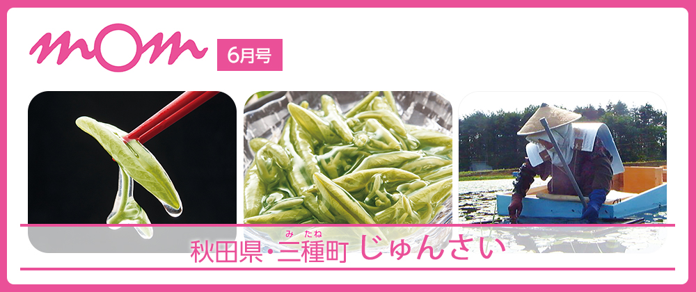 mom6月号 秋田県・三種市 じゅんさい