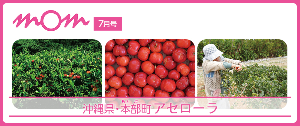mom7月号 沖縄県・本部町 アセローラ
