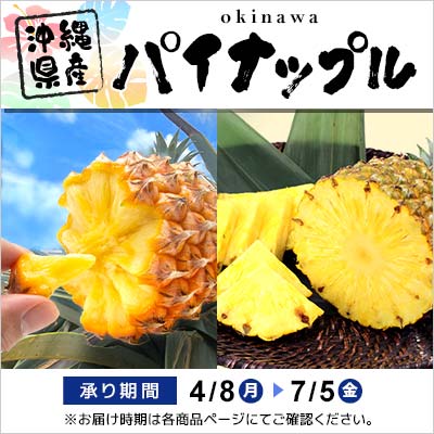 沖縄県産パイナップル 承り期間 4月8日（月）～7月5日（金）※お届け時期は各商品ページにてご確認ください。
