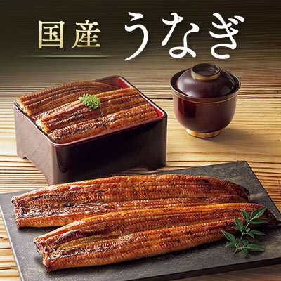 国産うなぎ