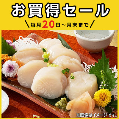 ＼毎月20日～月末まで／イオンショップ お買得セール！開催期間：12月20（金）～12月31日（火）