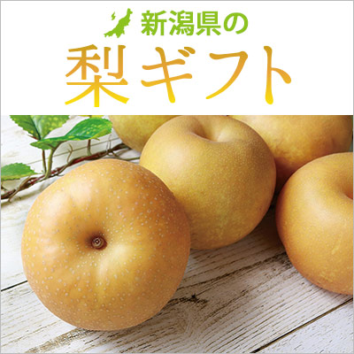 新潟県の梨ギフト