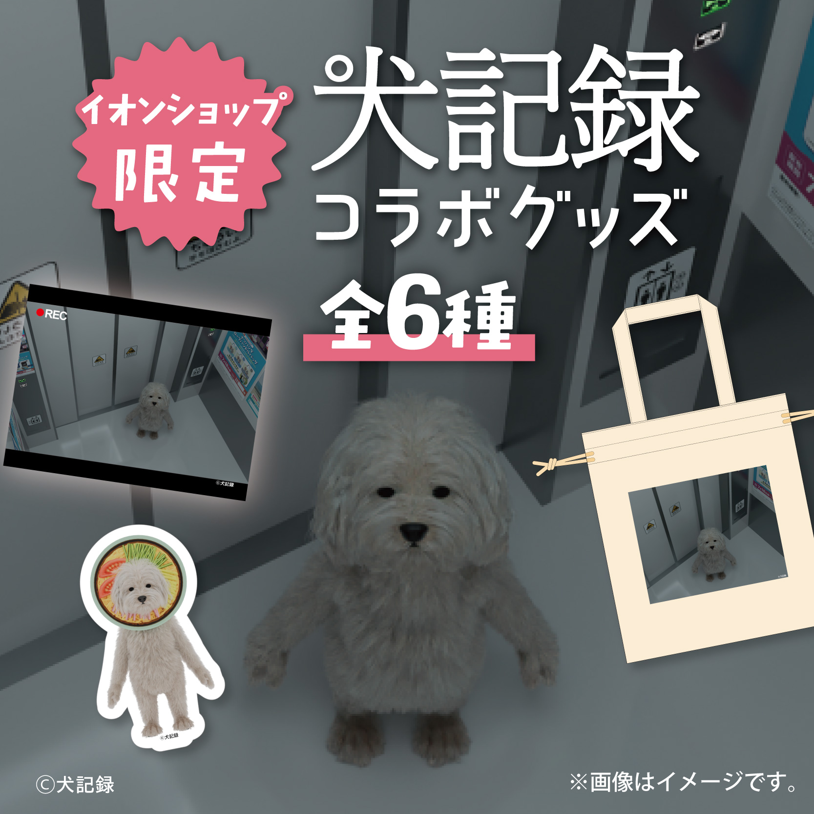 イオンショップ限定　犬記録コラボグッズ
