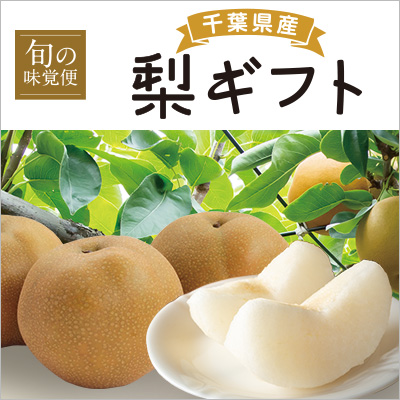 千葉県産梨ギフト