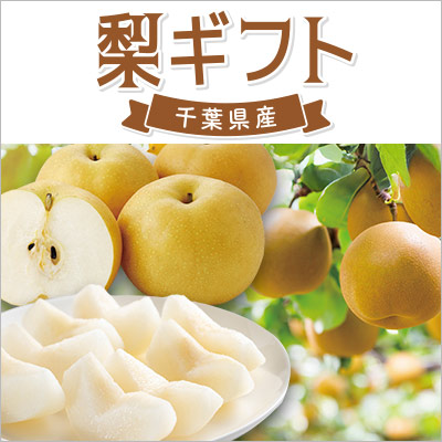 千葉県産梨ギフト