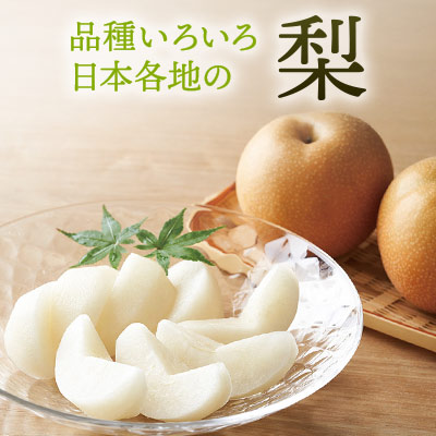 梨　品種いろいろ全国各地の梨　旬にお届け！