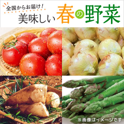 全国からお届け！美味しい春の野菜