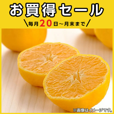 今月は特別！＼12月15日～12月31日まで／イオンショップ お買得セール！開催期間：12月15日（月 ）～12月31日（水）