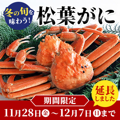 冬の旬を味わう！松葉がに｜境港から産地直送！いきたままボイル・急速冷凍