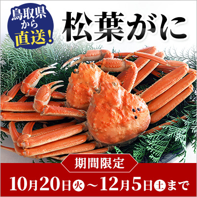 冬の旬を味わう！松葉がに｜境港から産地直送！いきたままボイル・急速冷凍