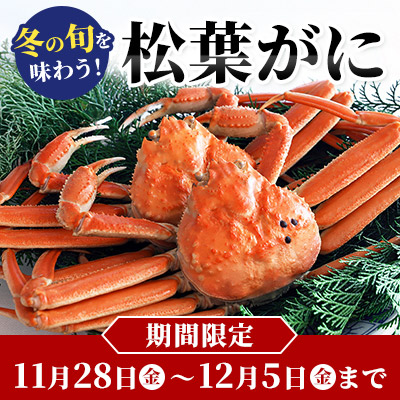 冬の旬を味わう！松葉がに｜境港から産地直送！いきたままボイル・急速冷凍