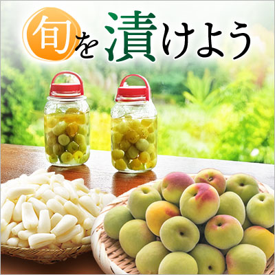 旬を漬けよう｜南高梅&らっきょう