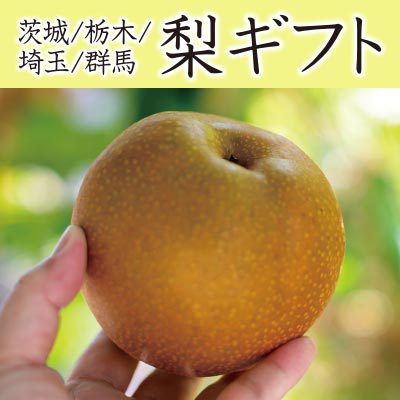茨城/栃木/埼玉/群馬の梨ギフト｜おいしい梨が揃いました。