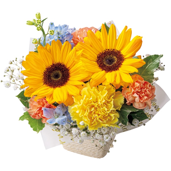 ひまわりのアレンジ〜Aqua〜【母の日】 商品画像1