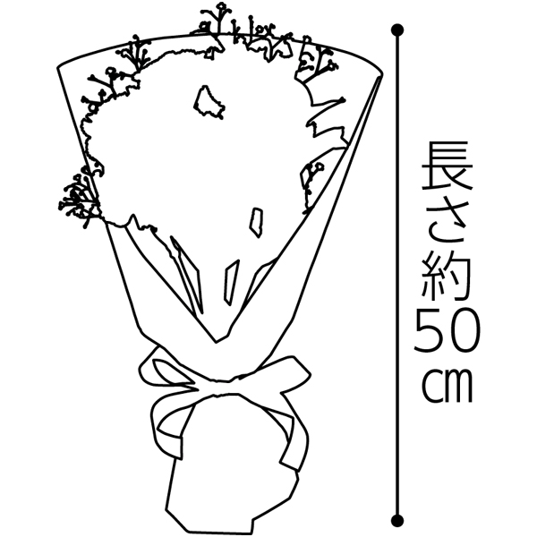 竹中庭園緑化 ブルーハーモニーブーケ【母の日】 花 竹中庭園緑化 ブルーハーモニーブーケ【母の日】 花