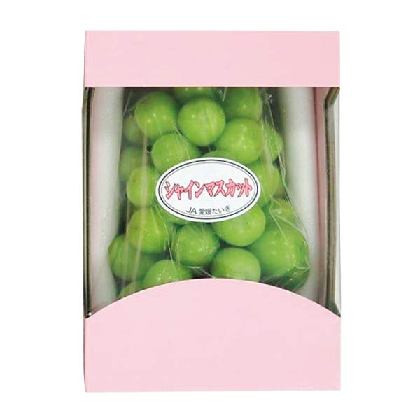 愛媛県産(JA愛媛たいき) シャインマスカット化粧箱(お届け期間：8/1〜8/25)【夏の贈りもの・お中元】　商品画像1