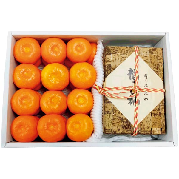 和歌山県産 あんぽ柿(竹籠)&有田みかん(お届け期間:12/1〜12/28)【冬の贈りもの・お歳暮】 商品画像1