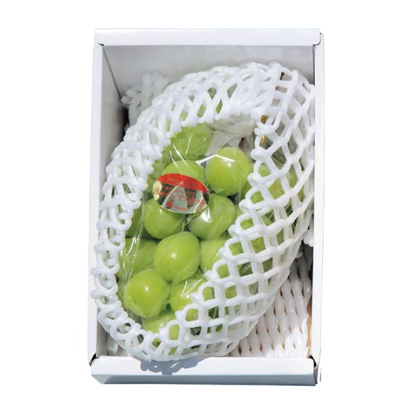 香川県産(JA香川県) シャインマスカット化粧箱(お届け期間：7/22〜8/25)【夏の贈りもの・お中元】　商品画像1