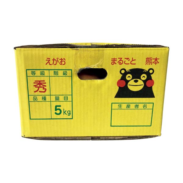 熊本県産 福嶌 豪さんのマル嶌みかん(お届け期間：12/1〜12/31)【冬の贈りもの・お歳暮】　商品画像1