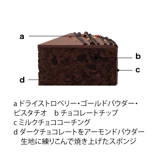 GODIVA クリスマス ガトー オ ショコラ【イオンのクリスマス】　商品画像1