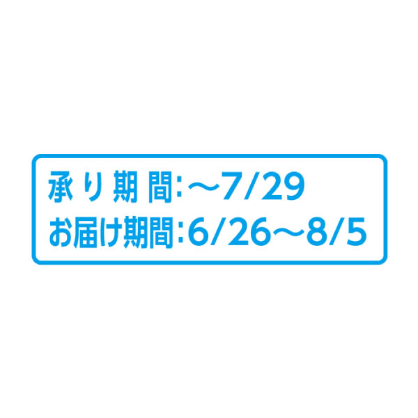 岡山県産 岡山の桃 (お届け期間：6/26〜8/4)【夏ギフト・お中元】　商品画像1