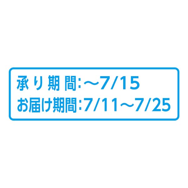 岡山県産 岡山の桃(なつごころ)(お届け期間：7/11〜7/25)【夏の贈りもの・お中元】　商品画像1