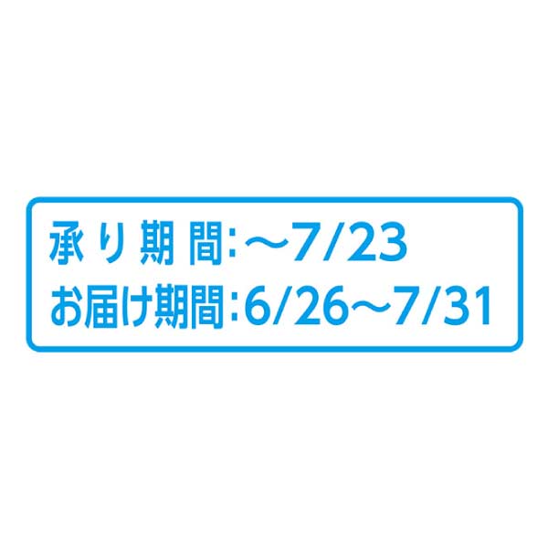 岡山県産 岡山の桃 大玉3個(お届け期間：6/26〜7/31)【夏の贈りもの・お中元】　商品画像1