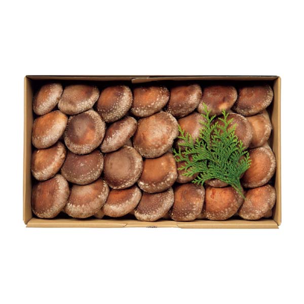 トップバリュ グリーンアイオーガニック 群馬県産(妙義ナバファーム)オーガニック生しいたけ(菌床栽培)ギフト 大(お届け期間：11/11〜12/21)【冬の贈りもの・お歳暮】　商品画像1