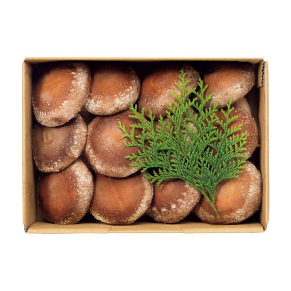 トップバリュ グリーンアイオーガニック 群馬県産(妙義ナバファーム)オーガニック生しいたけ(菌床栽培)ギフト(お届け期間：11/11〜12/21)【冬の贈りもの・お歳暮】　商品画像1