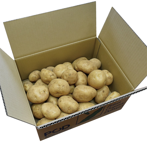 国産 じゃがいも 5kg【限定50点】【お届け期間:2月2日〜2月13日】【お買い得セール1月】 商品画像1